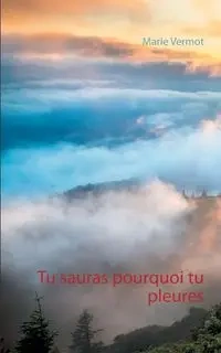 Tu sauras pourquoi tu pleures - Marie Vermot