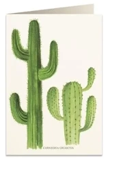 Karnet B6 + koperta 5986 Kaktusy - Tassotti