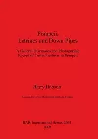 Pompeii, Latrines and Down Pipes - Barry Hobson