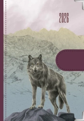 Kalendarz 2026 dzienny Natura Wilki - Eurograf BIS kalendarze