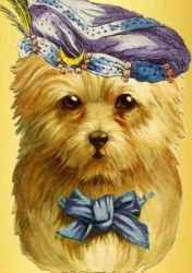 Karnet B6 brokat z kopertą Piesek wróżka - Madame Treacle