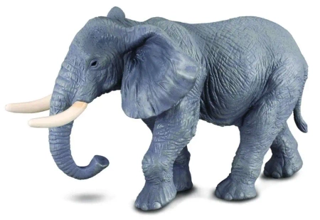 Słoń afrykański - Collecta