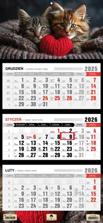 Kalendarz 2026 trójdzielny Kotki KT1–V.63 - Pan Kalendarzyk