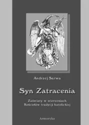 eBook Syn zatracenia. Zaświaty w wierzeniach Kościołów tradycji katolickiej - Andrzej Sarwa mobi epub