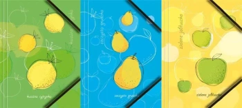 Teczka A4 kartonowa z gumką narożną owoce (6szt) - Tetis