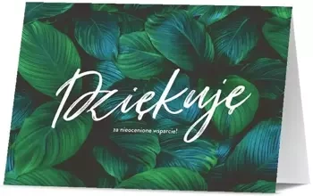 Karnet Podziękowania K. B6-1904 - Pan Dragon