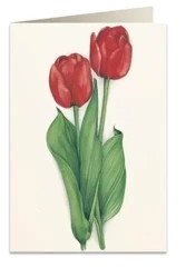 Karnet B6 + koperta 7517 Czerwone tulipany - Tassotti