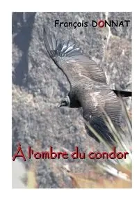 À l'ombre du condor - Donnat François