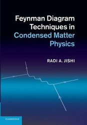 Feynman Diagram Techniques in Condensed Matter Physics - Jishi Radi
