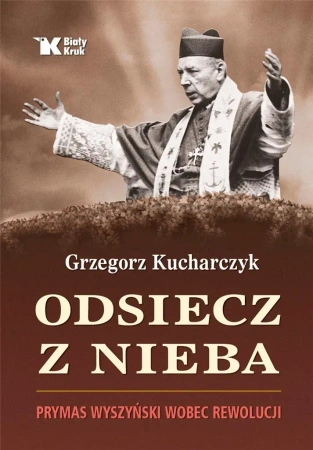 Odsiecz z nieba. Prymas Wyszyński wobec rewolucji - Grzegorz Kucharczyk