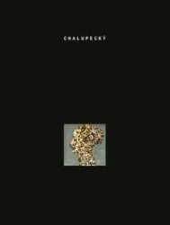 Czescy ekspresjoniści - Chalupecký Jindřich