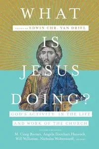 What Is Jesus Doing? - van Edwin Chr. Driel