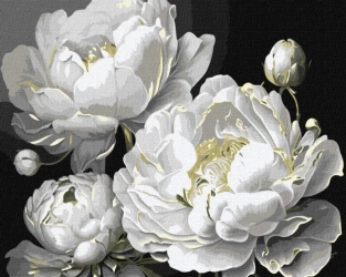 Malowanie po numerach - Nieskazitelne piękno 40x50 - Ideyka