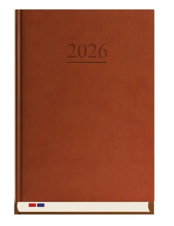 Terminarz 2026 Stacjonarny Brąz - Michalczyk i Prokop