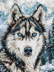 Malowanie po numerach -Oczy północy 3040cm - Ideyka