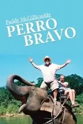 Perro Bravo - McGillicuddy Paddy