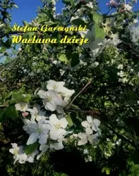 eBook Wacława dzieje - Stefan Garczyński mobi epub