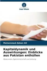 Kapitaldynamik und Auswirkungen - Ali Muhammad Adnan