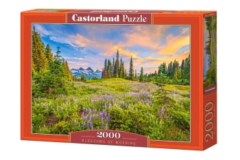 Puzzle 2000 Blossoms of Morning - Castorland