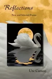 Reflections - Carson Ute
