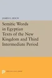 Semitic Words in Egyptian Texts of the New Kingdom and Third Intermediate Period - Hoch James E.