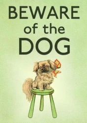 Karnet B6 z kopertą Strzeż się psa - Madame Treacle