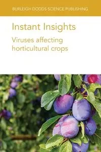 Instant Insights - authors Various
