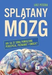 Splątany mózg. Jak są ze sobą powiązane percepcja. - Luiz Pessoa
