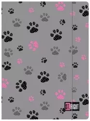 Teczka z gumką A4 Paws - ST-MAJEWSKI