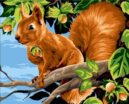 Malowanie po numerach 40x50cm Wiewiórka z... - Koh-I-Noor