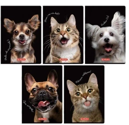 Zeszyt A5/16K kratka kolorowa Animals (20szt) - HERLITZ