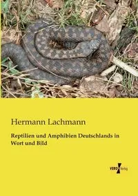 Reptilien und Amphibien Deutschlands in Wort und Bild - Lachmann Hermann