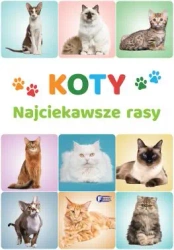Koty. Najciekawsze rasy - praca zbiorowa