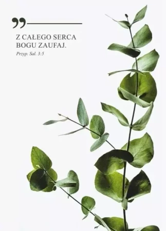 Karnet - Z całego serca Bogu zaufaj - gałązka - Koinonia