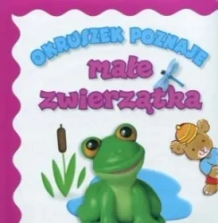 Okruszek poznaje - Małe zwierzątka - Anna Wiśniewska