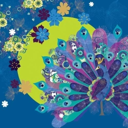 Karnet Swarovski kwadrat CL0710 Paw - Clear Creations