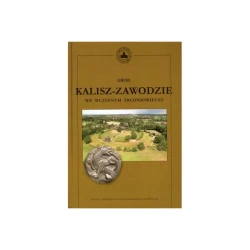 Gród Kalisz-Zawodziewe we wczesnym średniowieczu - Tadeusz Baranowski, Dorota Cyngot