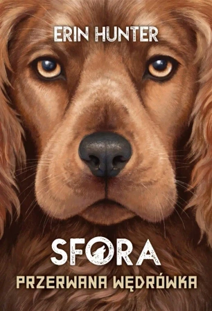 Sfora T.4 Przerwana wędrówka - Erin Hunter