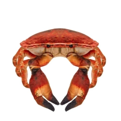 Krab słonowodny 26cm - Beppe