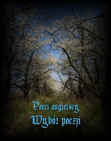 eBook Poeci angielscy - Antologia epub