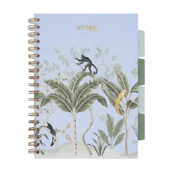 Kołozeszyt Pads B5/100K kratka Afryka pastel nieb - Strigo