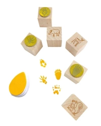 Stemple ślady w lesie - Colorado