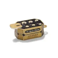 Grająca okaryna do samodzielnego montażu - Astromedia