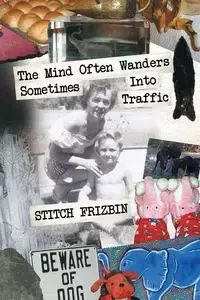 The Mind Often Wanders Sometimes Into Traffic - Frizbin Stitch