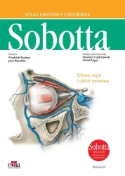 Atlas anatomii człowieka Sobotta. Angielskie mianownictwo. Tom 3. - Paulsen F., Waschke J.