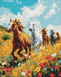 Diamentowa mozaika - Polowa harmonia 40x50cm - Ideyka