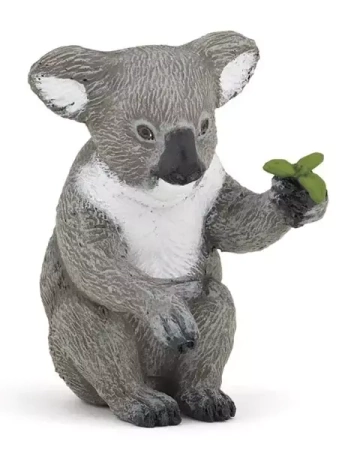 Koala - PAPO