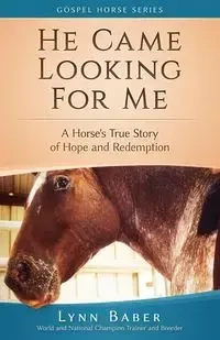 He Came Looking for Me - Lynn Baber