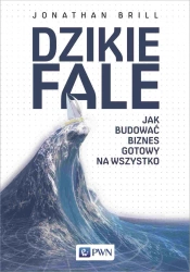 Dzikie fale. Jak budować biznes gotowy na wszystko - Jonathan Brill