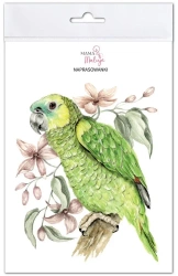 Naprasowanki Papuga zielona - Mama Maluje